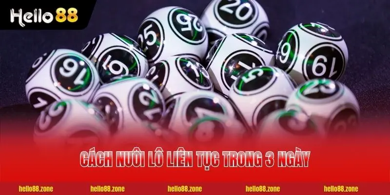 Cách nuôi lô liên tục trong 3 ngày