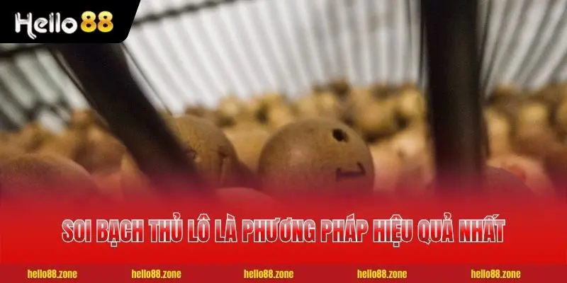 Soi bạch thủ lô là phương pháp hiệu quả nhất