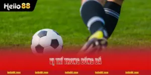 4 Tuyến Vị Trí Trong Bóng Đá Người Mới Chơi Nên Biết