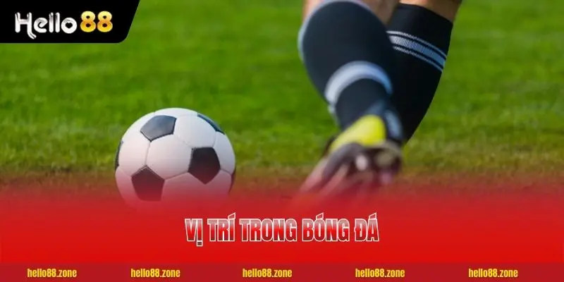 4 Tuyến Vị Trí Trong Bóng Đá Người Mới Chơi Nên Biết